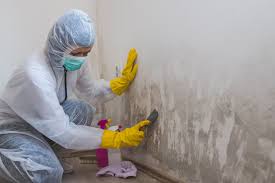 Mold Remediation for Vacation Homes in Falling Waters, WV